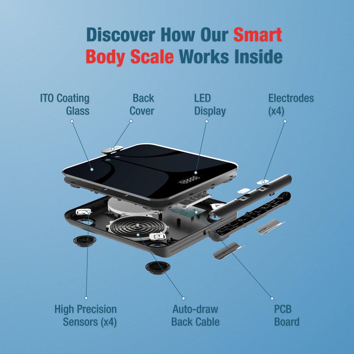 Buy Smart Digital Scale - 29 Body Composition Scale | BisonBody